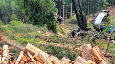 Codul Silvic a fost adoptat, fără amendamentele cerute de PNL (VIDEO)