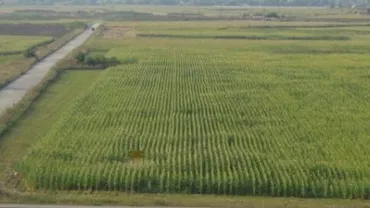 Dosarul retrocedărilor de la Nana, trimis în judecată