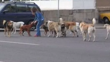 Decizie în cazul lui Ionuț Anghel, băiatul sfâșiat de câini acum doi ani: Magistrații hotărăsc vineri cine este vinovatul (VIDEO)