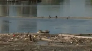 Poluare cu hidrocarburi în apele Canalului Poarta Albă - Midia Năvodari