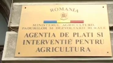 Angajat al APIA Satu MAre, găsit mort la serviciu: Bărbatul rămânea deseori peste program și amânase de multe ori să-şi trateze problemele cardiace (VIDEO)