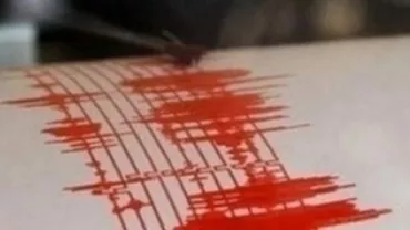 Un cutremur de 3,2 magnitudine s-a produs în Vrancea
