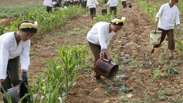 Coreea de Nord trece prin cea mai gravă secetă din ultimul secol