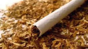 Peste 2 tone de tutun și 10 utilaje artizanale folosite la prelucrare au fost ridicate de polițiști