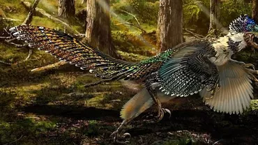 Fosila unui mare dinozaur cu pene, descoperită în China. ”Ucigașul cu pene și puf” îi uimește pe paleontologi