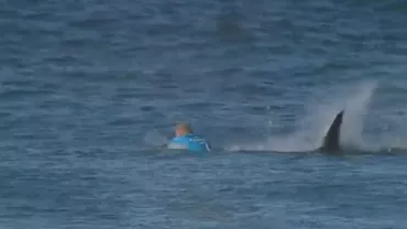 Africa de Sud: Un concurent care participa la un concurs de surf a fost atacat "în direct" de doi rechini. Bărbatul a scăpat cu viață (VIDEO)