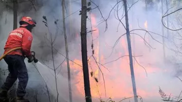 Stare de urgență în sud-estul Bulgariei din cauza unor incendii de amploare