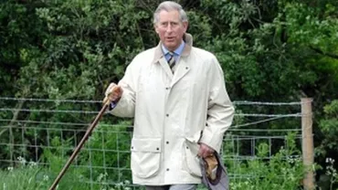 O fundație patronată de Prințul Charles vrea să cumpere 100.000 de hectare de pădure în România pentru a o proteja de tăieri masive și exploatare forestieră