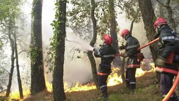 Aproximativ 10.000 de persoane au fost evacuate în sud-estul Franței, din cauza incendiilor de vegetație