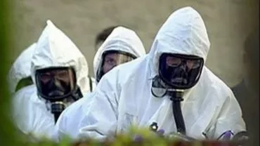 Senatul face dezinsecție: Lucrarea se va efectua pe o suprafaţă de 57.275 mp și vizează combaterea gândacilor, ploşniţelor, puricilor, muştelor, dăunătorilor de depozite