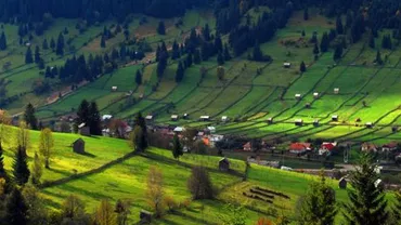 Adunarea Românilor din Bucovina este noua organizație înființată care are drept obiectiv protejarea drepturilor comunității românești