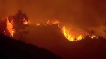 Incendiu de vegetație în nordul statului american California: Cel puţin 650 de persoane au fost evacuate (VIDEO)