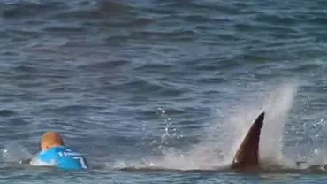 Un fost boxer australian a fost atacat de un rechin în timp ce se pregătea să facă surf