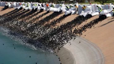 California: 96 de milioane de mingi de plastic au fost aruncate într-un rezervor cu apă pentru a evita evaporarea acesteia (VIDEO)