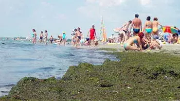 Plaja din Mamaia, plină de alge: Parcă se joacă copiii. Chiar m-am amuzat. Au venit și ei cu grebluța și lopățica