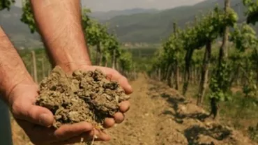 ANM: Conținutul de apă din solul agricol pentru cultura neirigată de porumb, valori scăzute. Rezerva de umiditate, în limite satisfăcătoare