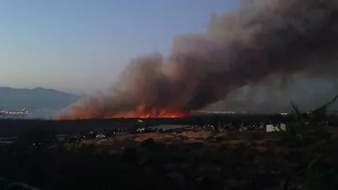 Soldații vor participa la stingerea incendiilor de vegetație care afectează mai multe state din vestul SUA