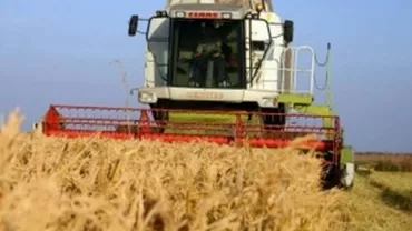 Prețul grâului a scăzut cu 11% de la începutul acestui an: În Franța se așteaptă o producție record, ceea ce va pune şi mai multă presiune asupra cotaţiilor de pe piaţa mondială