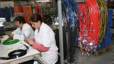 Deținuții Penitenciarului Gherla, angajați ai companiei japoneze Fujikura