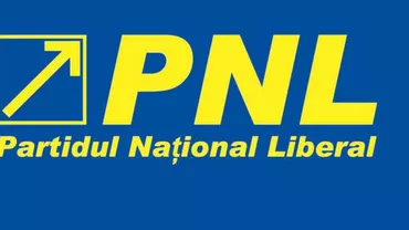 PNL îi propune pe Dan Motreanu, Ionel Palăr, Ioan Bălan și Cristian Buican în Biroul permanent al Camerei