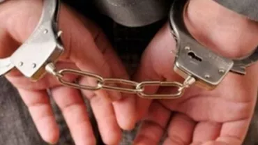 Rusia: Şeful poliţiei moldovene a fost reţinut timp de patru ore pe un aeroport din Moscova pentru că seamănă cu un infractor dat în urmărire internațională