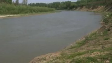 Bacău: Un adolescent de 14 ani şi un cioban la care acesta muncea s-au înecat în Siret. Trupul băiatului nu a fost încă găsit