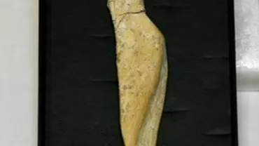 Statuetă veche de peste 23.000, găsită lângă Piatra Neamț. Cercetători: Istoria sculpturii din România va începe cu acest obiect