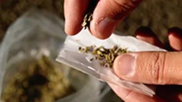 Florida: Un bărbat a greșit numărul de telefon și i-a cerut droguri chiar căpitanului Unității anti-drog. Tânărul voia să vorbească cu dealerul său