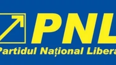 Mihail Voicu: PNL depune miercuri proiectul alegerii primarilor în două tururi de scrutin