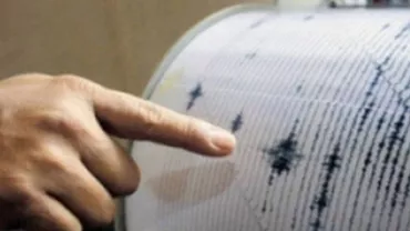 Un cutremur de 6,6 magnitudine s-a produs în largul Indoneziei