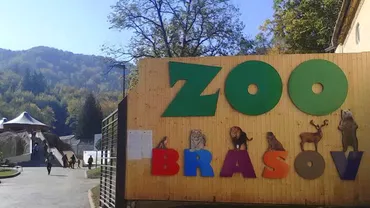 Grădina Zoologică din Brașov vinde porci vietnamezi, cai și nutrii