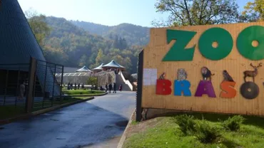 Grădina Zoologică din Brașov își vinde animalele: O nutrie costă 300 de lei, iar un porc vietnamez poate fi cumpărat pentru 400 de lei