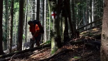 Două femei și un copil, găsiți morți în condiții suspecte, în Vrancea. Încă o fată de 15 ani e dată dispărută