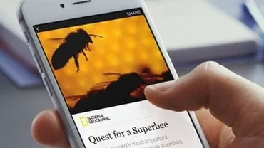 Facebook va lansa propria aplicație de știri