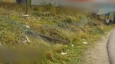 Cruzime fără margine în Borșa: Doi tineri au tăiat un cal cu drujba după ce l-au târât zeci de metri legat de un tractor (VIDEO)