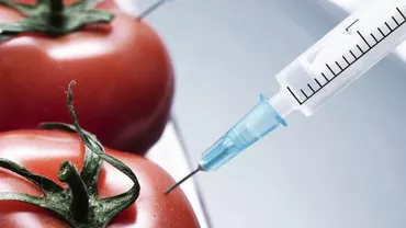 Liber la importurile cu organisme modificate genetic: Parlamentul European a respins un proiect de lege prin care s-ar fi putut introduce restricții pentru vânzarea sau folosirea unor alimente modificate genetic