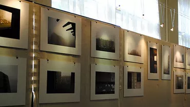 Aproape 10.000 de euro s-au strâns la expoziția Teodorei Maftei, "London Unedited"