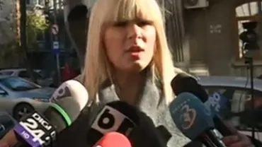 Elena Udrea, despre propunerea PNL la funcția de premier: Cioloș împacă și capra, și varza. E o figură mai puțin cunoscută, dar cu un aer de profesionist și pe placul clasei politice