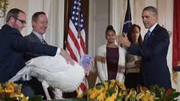 Președintele Obama a grațiat un curcan, conform tradiției de Ziua Recunoștinței