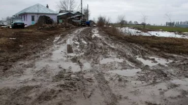 Un bărbat și calul său, la un pas de a fi înghițiți de noroaie într-o localitare din județul Cluj
