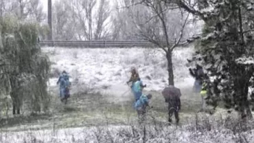 Culmea “hărniciei”: Autoritățile din Deva i-au trimis pe muncitori să taie iarba pe ninsoare (VIDEO)