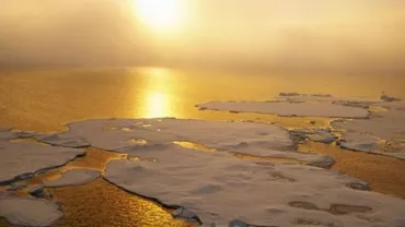 Companiile europene vor aceleași reguli pentru problema schimbărilor climatice