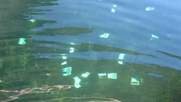 100.000 de euro, găsiți plutind pe Dunăre (FOTO)