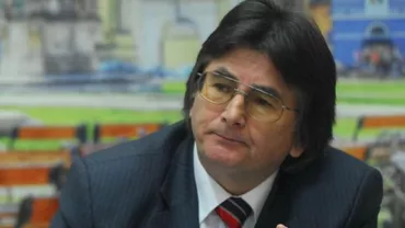 Primarul Timișoarei caută soluții pentru alungarea ciorilor din oraș