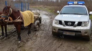Un copil de 16 ani, prins în timp ce transporta ţigări de contrabandă cu o căruţă (VIDEO)
