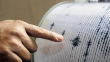 Un cutremur de 6,9 magnitudine s-a produs în apropierea costelor Indoneziei: Seismul a fost urmat de opt replici