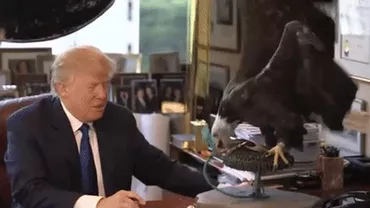 Donald Trump, atacat de vultur: Miliardarul, ciupit în timpul unei şedinţe foto (VIDEO)