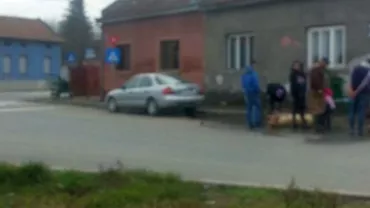 Au pârlit porcul pe trotuar! Trecătorii au asistat la scene uimitoare pe un drum din Lugoj (FOTO)
