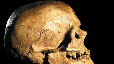 Un autor român revine cu o demonstraţie a faptului că Omul de Cro-Magnon era mai inteligent decât omul actual
