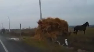 Doi bărbați au căzut într-un șanț cu căruța plină cu fân (VIDEO)